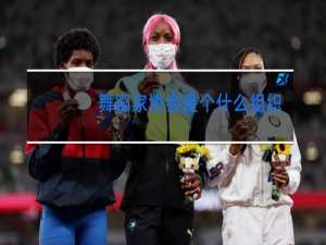 舞蹈家协会是个什么组织