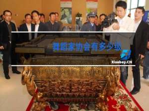 舞蹈家协会有多少级