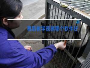 舞蹈教学视频哪个软件好