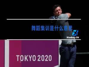 舞蹈集训是什么意思