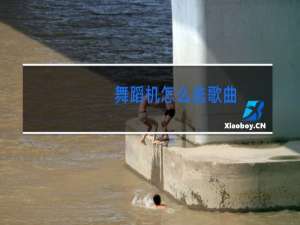 舞蹈机怎么选歌曲