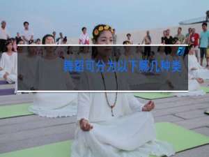 舞蹈可分为以下哪几种类型