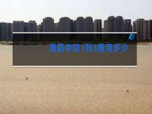 舞蹈考级1到3费用多少