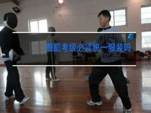 舞蹈考级必须统一服装吗