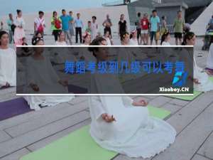 舞蹈考级到几级可以考舞蹈老师