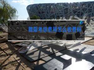 舞蹈考级费用怎么收费标准杭州