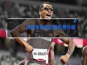 舞蹈考级歌剧院和舞协哪个好