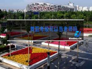舞蹈考级可以当老师吗