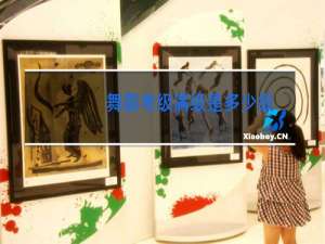 舞蹈考级满级是多少级