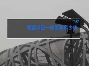 舞蹈考级一般需要多少钱