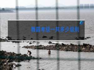 舞蹈考级一共多少级别