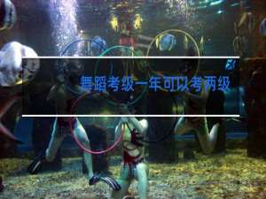 舞蹈考级一年可以考两级吗