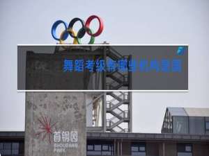 舞蹈考级有哪些机构是国家承认的