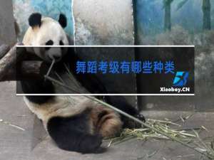 舞蹈考级有哪些种类