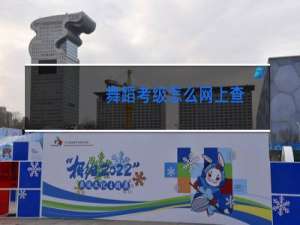 舞蹈考级怎么网上查