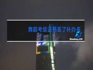舞蹈考级证书丢了补办多少钱