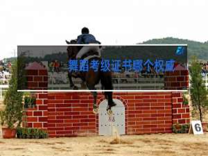 舞蹈考级证书哪个权威