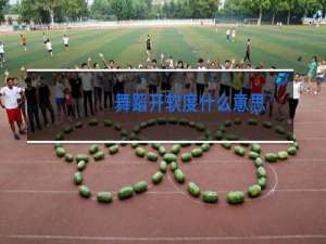 舞蹈开软度什么意思