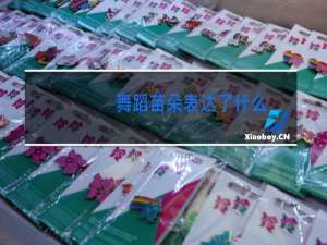 舞蹈苗朵表达了什么