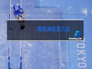 舞蹈满级是几级