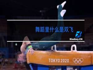 舞蹈里什么是双飞