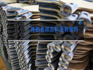 舞蹈老师苏科没有家吗