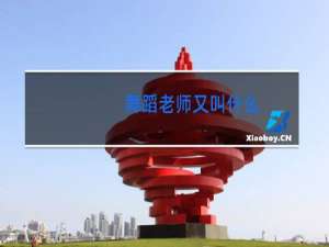 舞蹈老师又叫什么