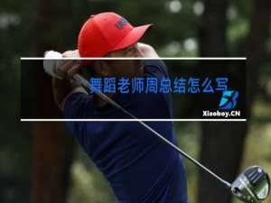 舞蹈老师周总结怎么写