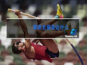 舞蹈老雁表达什么