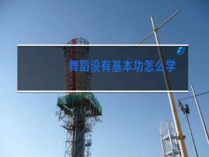 舞蹈没有基本功怎么学