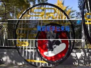 舞蹈能学出来吗