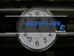 舞蹈培属于什么管理