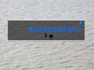 舞蹈培训班跳整支舞叫什么