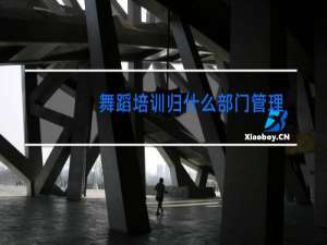 舞蹈培训归什么部门管理