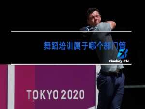 舞蹈培训属于哪个部门管