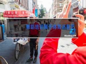 舞蹈培训属于体育还是艺术