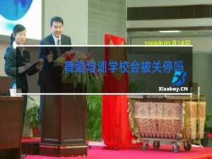 舞蹈培训学校会被关停吗