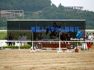 舞蹈入门学什么舞种好