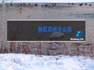 舞蹈前桥怎么练