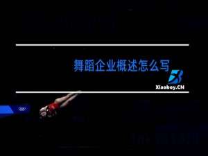 舞蹈企业概述怎么写