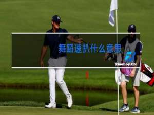 舞蹈速扒什么意思