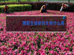 舞蹈生读研究生有什么用