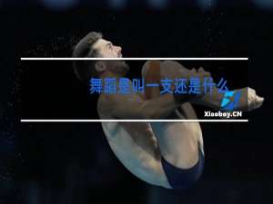 舞蹈是叫一支还是什么
