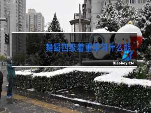舞蹈四级着重学习什么能力
