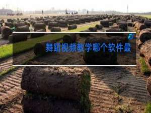 舞蹈视频教学哪个软件最好