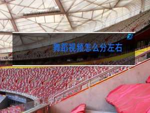 舞蹈视频怎么分左右