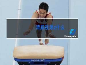 舞蹈视频z什么