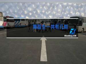 舞蹈生一共有几期