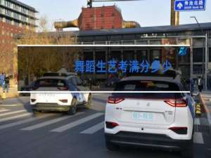 舞蹈生艺考满分多少