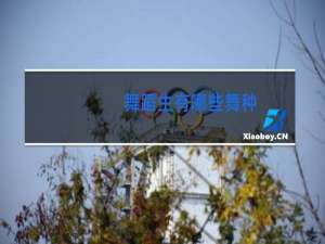 舞蹈生有哪些舞种